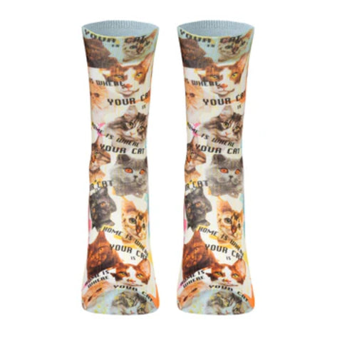 Wigglesteps Cats Pack 2 Paires De Chaussettes Enfant